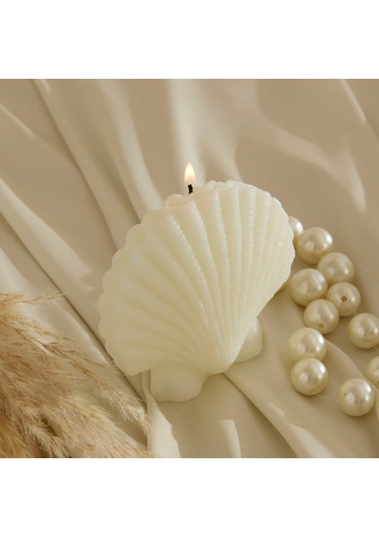 Marin Deniz Kabuğu Mum