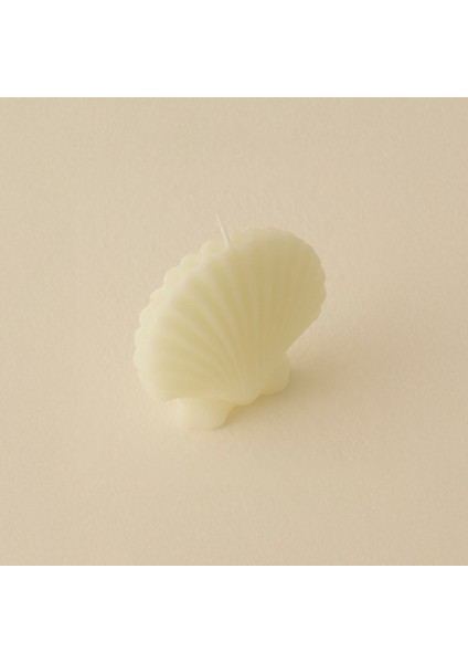 Marin Deniz Kabuğu Mum fiyatları