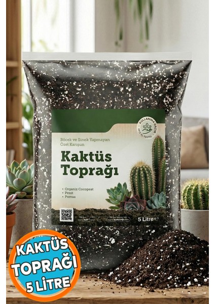 Kaktüs Toprağı (5 Litre) Organik Cocopeat Perlit Pomza Karışımlı Kaktüs ve Sukulent Toprağı Toprak indirimleri