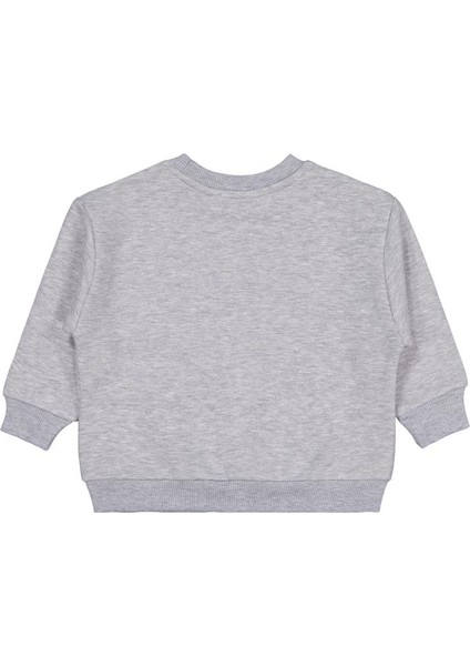 Skater Baskılı 2-5 Yaş Sweatshirt fiyatları