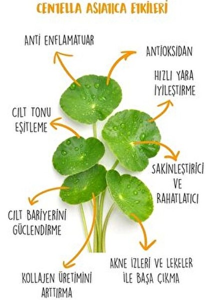 Byeolee Centella Asiatica Hibrit Renksiz Pürüzsüz ve Aydınlatıcı Güneş Kremi SPF50 50GR Krem indirimleri