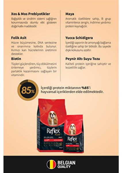 8 kg Kuzu Etli ve Pirinçli Yetişkin Köpek Maması Küçük Irk İçin Süper Premium indirimleri