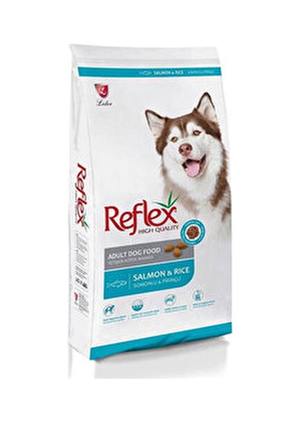 Somonlu ve Pirinçli Yetişkin Köpek Maması 15 kg Premium Kalitede Besleyici İçerik fiyatları