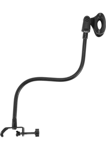 Radyo Yayın Stüdyosu, Canlı Yayın Ekipmanları, Istasyonlar Için Masa Kelepçesi ile Esnek Gooseeck Mikrofon Standı (Yurt Dışından) modelleri