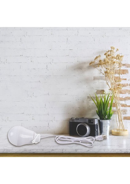 3x DC5V 5W LED Ampul USB Lambası Dış Mekan Dizüstü Bilgisayar Için Taşınabilir Beyaz Işık (Beyaz) (Yurt Dışından) modelleri