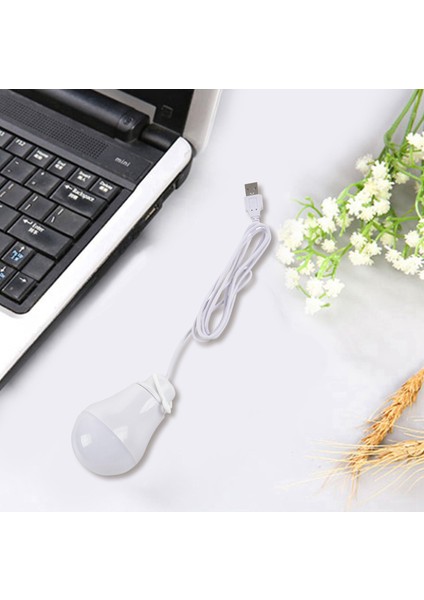 3x DC5V 5W LED Ampul USB Lambası Dış Mekan Dizüstü Bilgisayar Için Taşınabilir Beyaz Işık (Beyaz) (Yurt Dışından) fırsatları