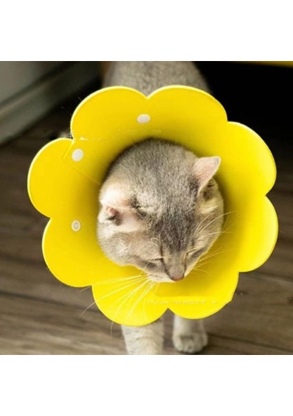 Evcil Hayvan Xl Boy Keçe Elizabeth Yakalığı indirimleri