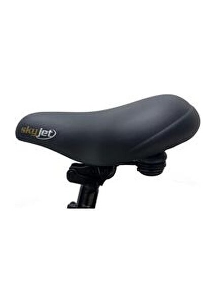 Robusto Elektrikli Bisiklet - 20 inç Katlanabilen Şehir Bisikleti 6 Vites