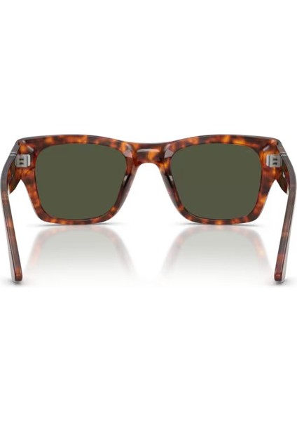 PO3384S 24 31 54 Unisex Güneş Gözlüğü modelleri