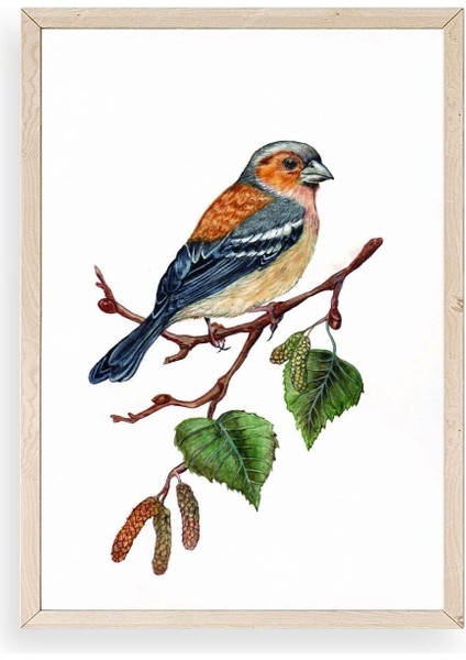 Kuş Ahşap Çerçeveli Tablo