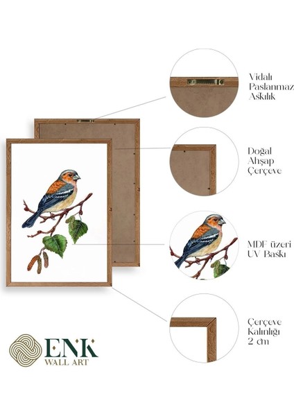 Kuş Ahşap Çerçeveli Tablo fırsatları