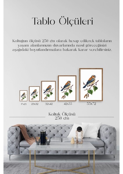 Kuş Ahşap Çerçeveli Tablo indirimleri