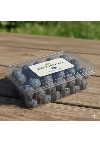 Yılbaşı Paket fiyatları