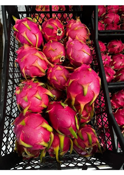 Yılbaşı Paket fırsatları