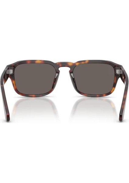 PO3386S 24 B1 56 Unisex Güneş Gözlüğü modelleri