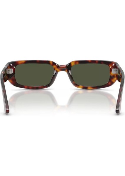 PO3385S 24 31 55 Unisex Güneş Gözlüğü modelleri