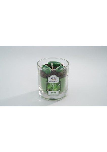 Aloe Vera Mum fiyatları