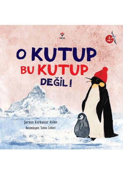 O Kutup Bu Kutup Değil!