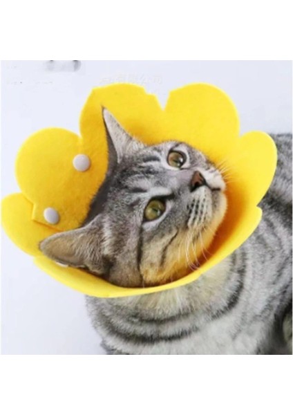 Buğz Evcil Hayvan M Boy Keçe Elizabeth Yakalığı