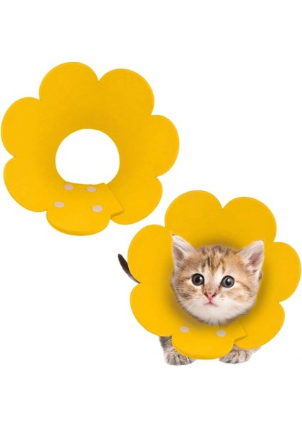 Buğz Evcil Hayvan S Boy Keçe Elizabeth Yakalığı