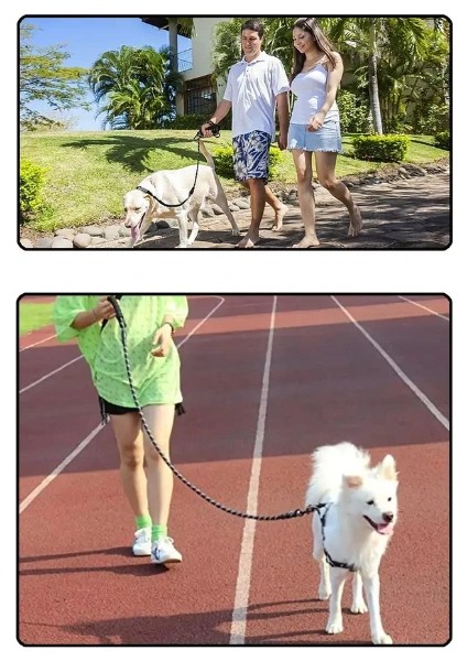 Buğz Evcil Hayvan Reflektörlü Fitil Gezdirme Tasması 10 mm x 120 cm modelleri