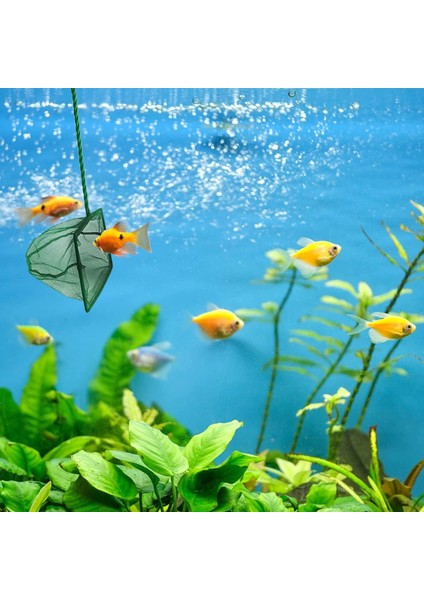 Buğz Akvaryum Balık Kepçesi 7.5 Cm.