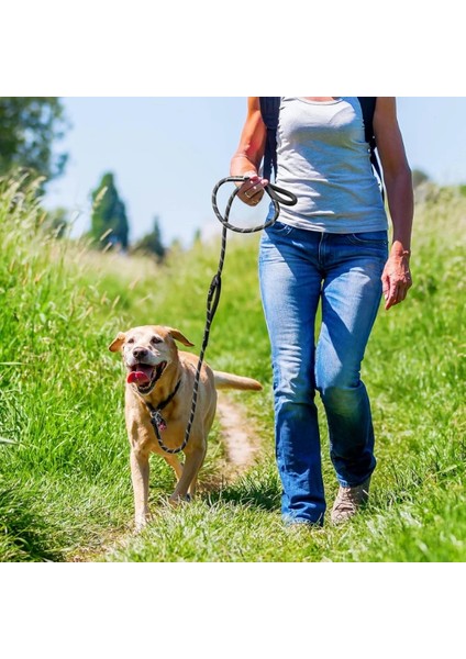 Buğz Evcil Hayvan Fitil Gezdirme Tasması 10 mm x 120 cm fırsatları