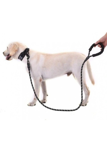 Buğz Evcil Hayvan Reflektörlü Fitil Gezdirme Tasması 12 mm x 120 cm fiyatları