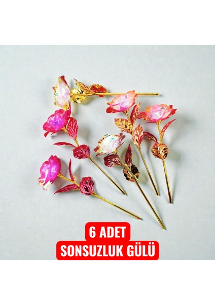 Meşhur Sonsuzluk Gülü 6'lı Takım