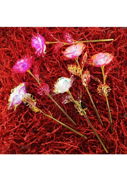 Meşhur Sonsuzluk Gülü 6'lı Takım fiyatları