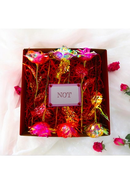 Meşhur Sonsuzluk Gülü 6'lı Takım modelleri