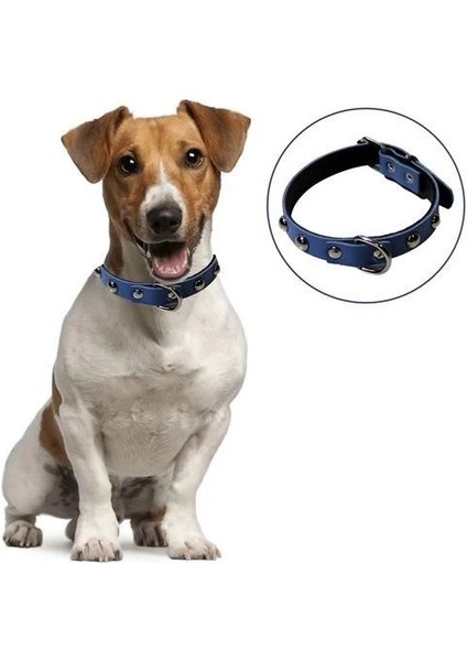 Yumuşak Dokulu Deri Köpek Gezdirme Boyun Tasması (Large)