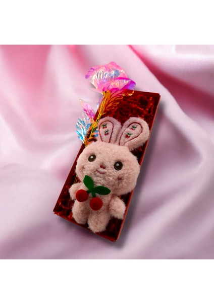 Pembe Anahtarlık Charm Hediye Kutusu Gül ve Anahtarlık fiyatları