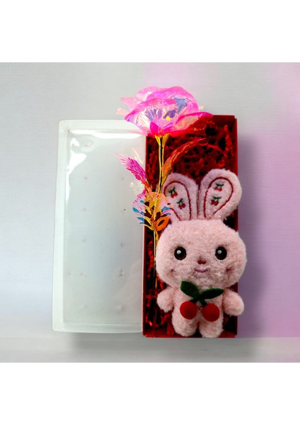 Pembe Anahtarlık Charm Hediye Kutusu Gül ve Anahtarlık modelleri