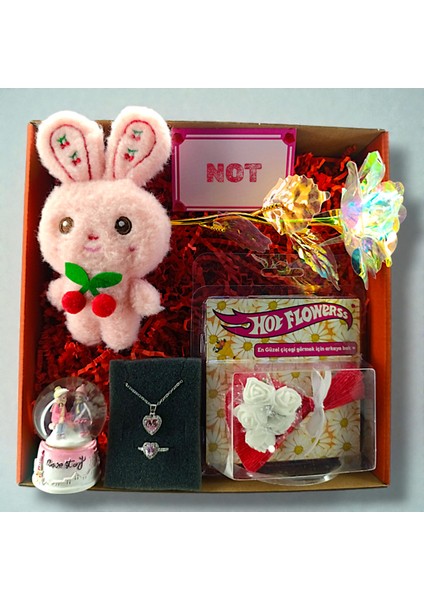 Hediye Kutusu Karışık Gül,kolye Yüzük, Çiçek, Kar Küresi, Peluş, Hediye Kartı, Kalp Kutu