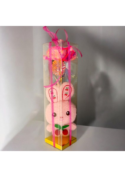 Tavşan Sonsuzluk Gülü Hediye Sevgiliye Anneye Özel Hediye Kutusu