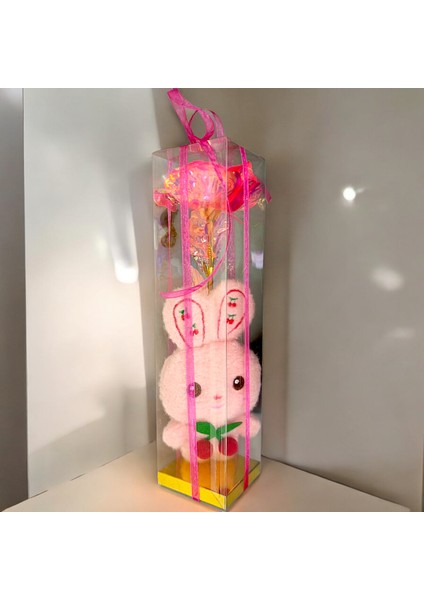 Tavşan Sonsuzluk Gülü Hediye Sevgiliye Anneye Özel Hediye Kutusu fiyatları