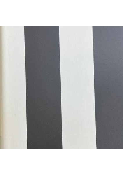 Bej Siyah Kalın Çizgili Desen Duvar Kağıdı 2864