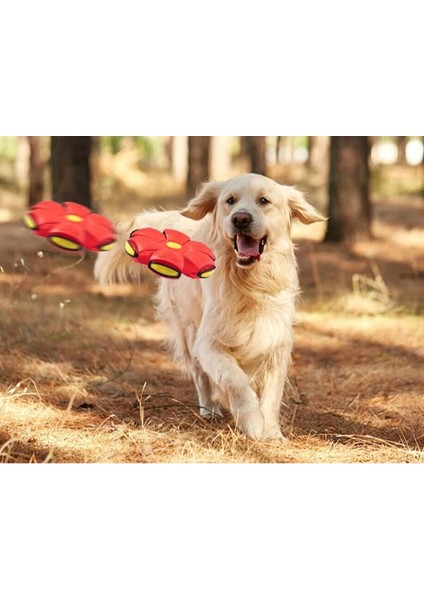 Buğz Işıklı Zıplayan Frizbi Evcil Hayvan Topu fiyatları