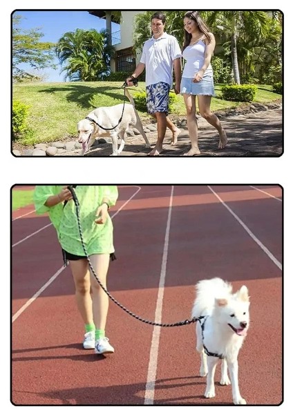 Evcil Hayvan Reflektörlü Fitil Gezdirme Tasması 10 mm x 120 cm modelleri