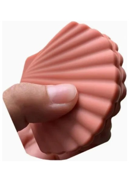 Deniz Kabuğu Şeklinde Tutacak modelleri