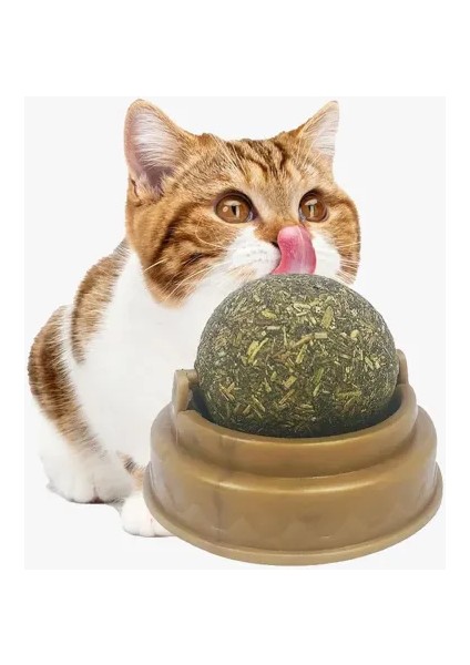 Kedi Nanesi Oyun Topu