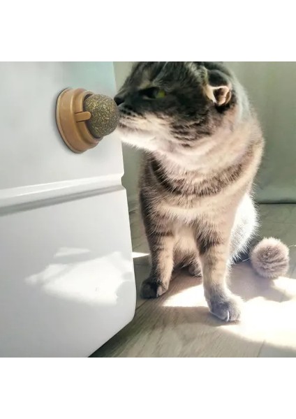 Kedi Nanesi Oyun Topu modelleri