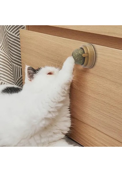 Kedi Nanesi Oyun Topu fırsatları