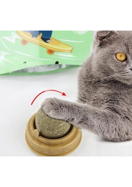 Kedi Nanesi Oyun Topu fırsatları