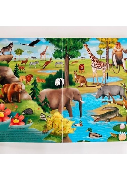 Ingilizce Destekli Ilk Hayvanlar Kitabım: Ne Sorsan Bilir Minik Sincap, Panda, Aslan, Kirpi...