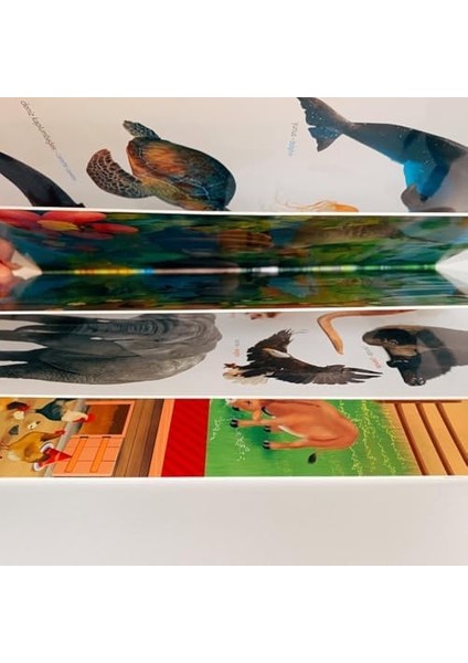 Ingilizce Destekli Ilk Hayvanlar Kitabım: Ne Sorsan Bilir Minik Sincap, Panda, Aslan, Kirpi... modelleri