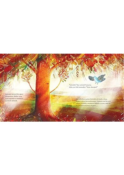 Çekirdek Ile Yumurta modelleri