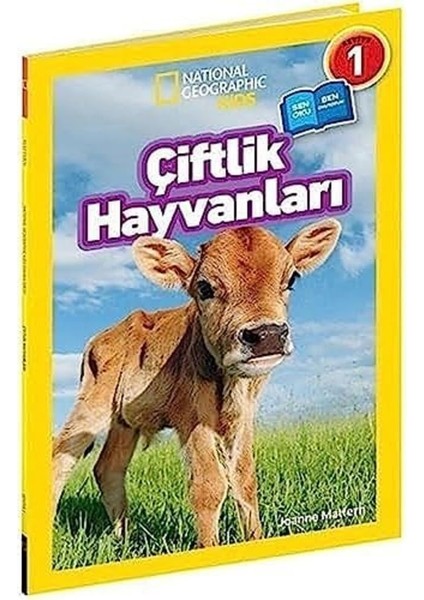 National Geographic Kids Böcekler (Kapak Değişebilir)