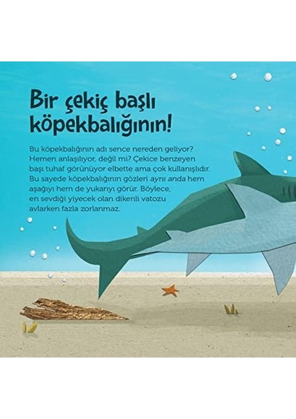 Tepeden Kuyruğa - Deniz Canlıları fiyatları